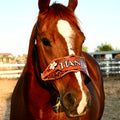Custom Bronc Halter