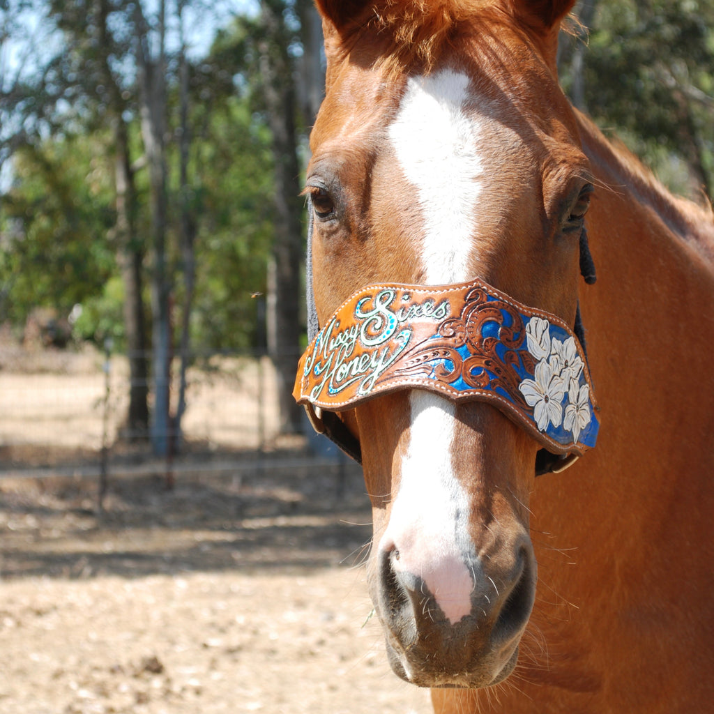 Custom Bronc Halter