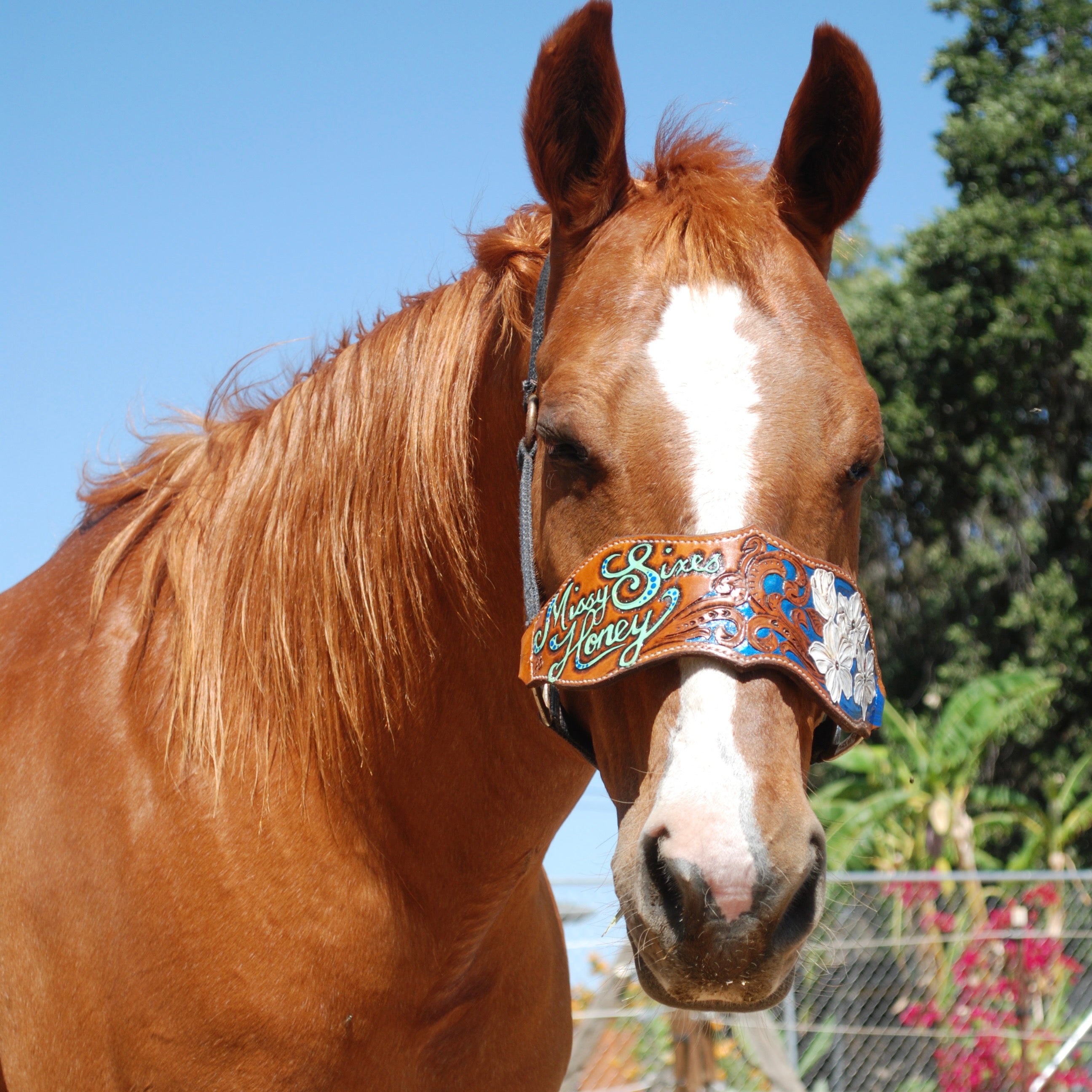 Custom Bronc Halter