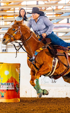 Custom Western Breast Collar
