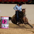 Custom Western Breast Collar